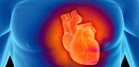 Cardiovascular Services (heart & circulatory system)
